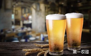 各大啤酒制造商把目光瞄准中国市场 高端啤酒市场销量再增加