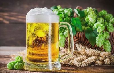 农村一种神奇植物,可以用来酿啤酒,人称“啤酒花”,如今受欢迎